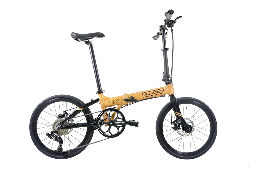 Bicycle Folding 20 Inch Eagle 1x9sp 2020