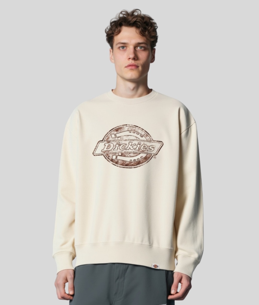  French Terry Print Graphic Crew Neck