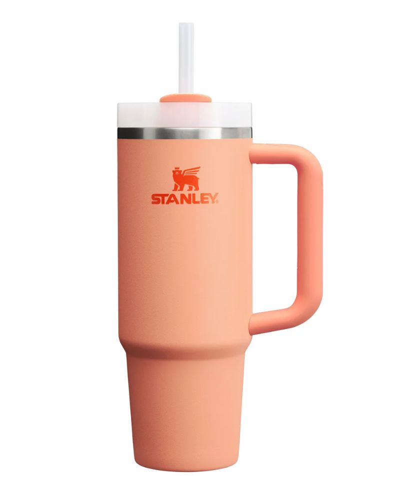 The Quencher H2.O Tumbler 30 OZ