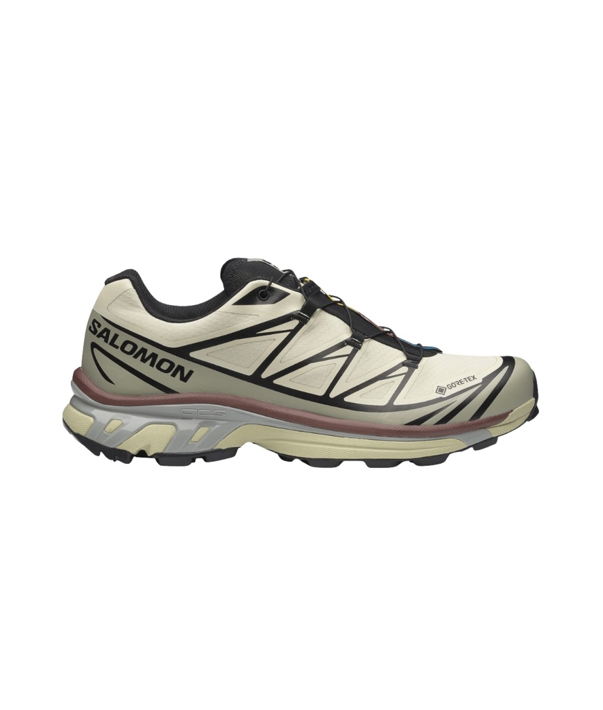 Shoes XT-6 GTX