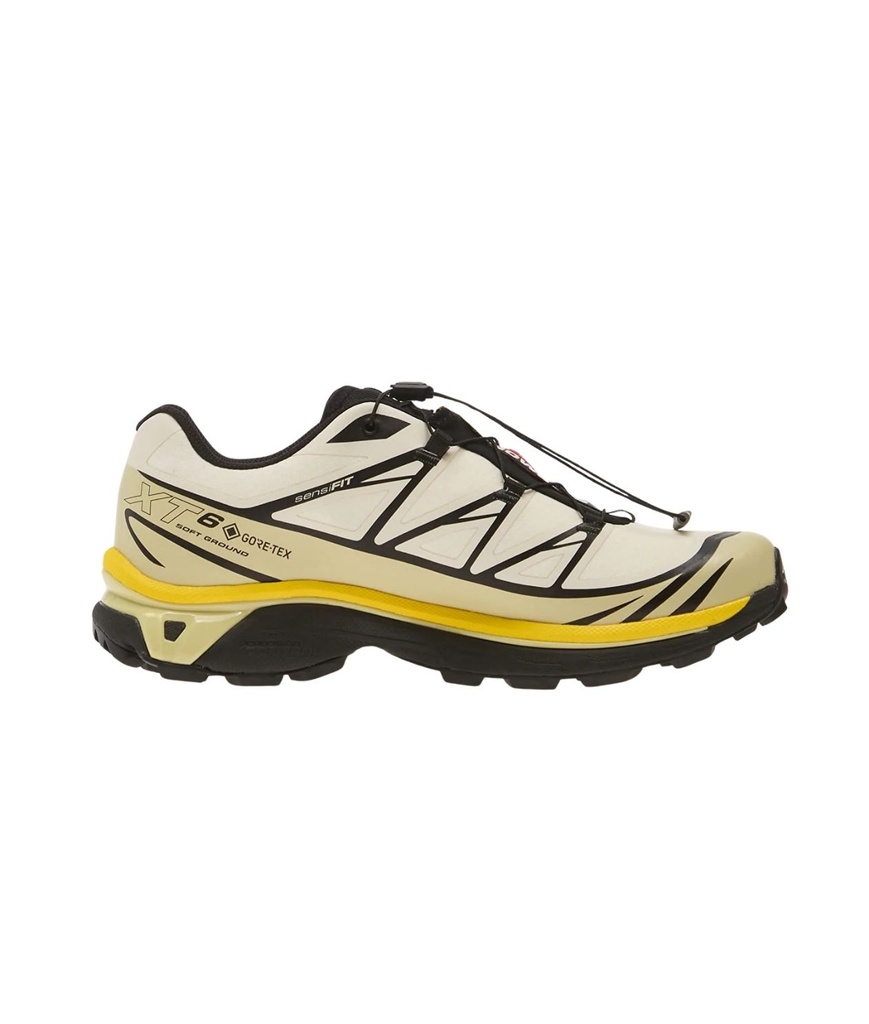 Shoes XT-6 GTX